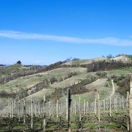 Il Canto Del Gallo - Country House Cassinasco エクステリア 写真